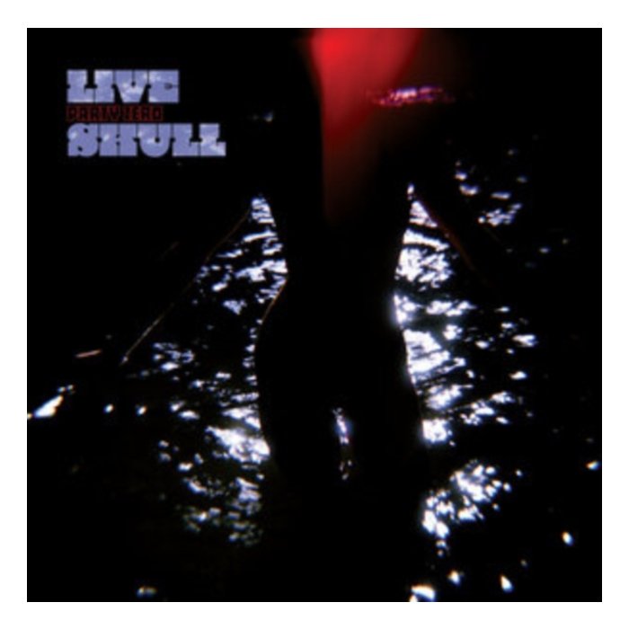 LIVE SKULL - PARTY ZERO (IMPORT)