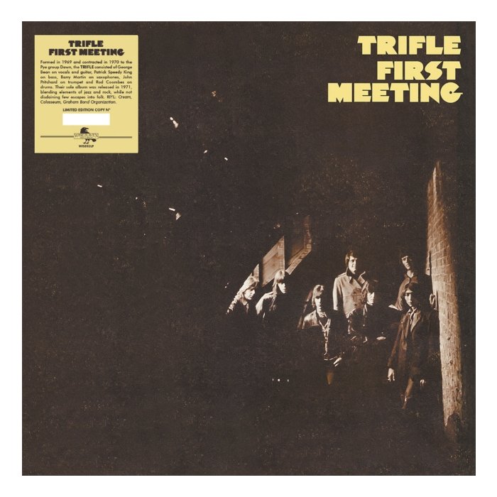 TRIFLE - FIRST MEETING