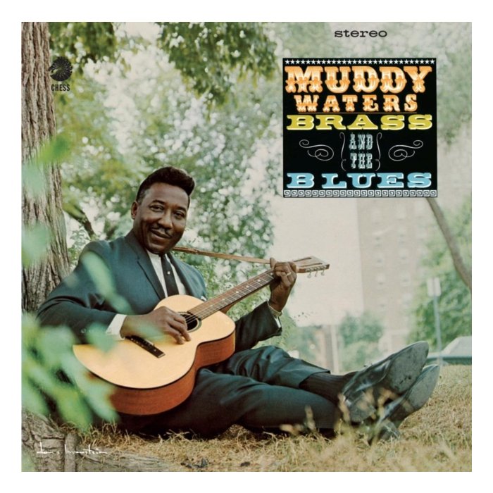 MUDDY WATERS - MUDDY