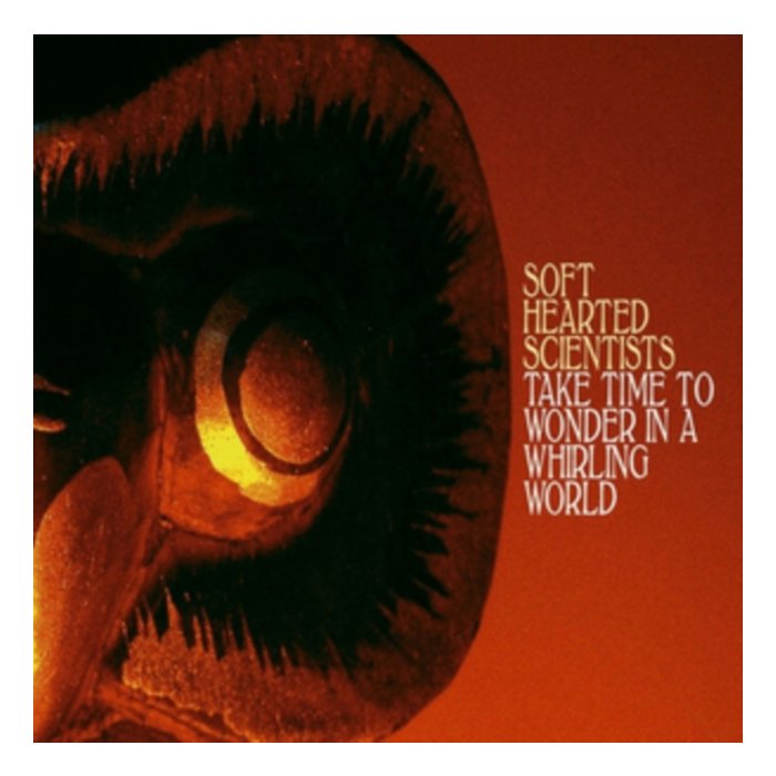 SOFT HEARTED SCIENTISTS - TAKE TIME TO WONDER IN A WHIRLING WORLD (LP/CD)