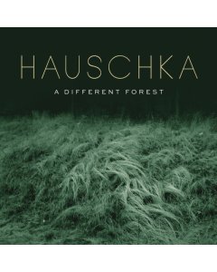 HAUSCHKA - DIFFERENT FOREST