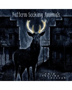 PATTERN-SEEKING ANIMALS - ONLY PASSING THROUGH (2LP/CD)