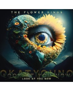 FLOWER KINGS - LOOK AT YOU NOW (2LP)