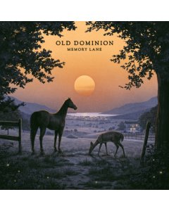 OLD DOMINION - MEMORY LANE (2LP)