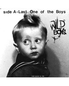 WILD BOYS - WILD BOYS - LAST ONE OF THE BOYS B/W WE'RE ONLY MONSTERS