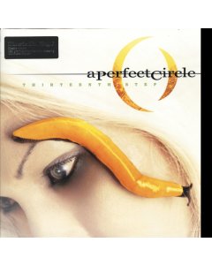 PERFECT CIRCLE - THIRTEENTH STEP (180G)