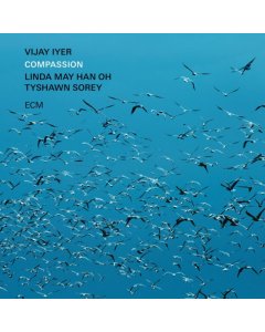 IYER,VIJAY; LINDA MAY HAN OH & TYSHAWN SOREY - COMPASSION