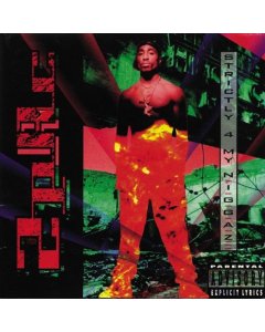 2PAC - STRICTLY 4 MY N.I.G.G.A.Z. (2 LP)