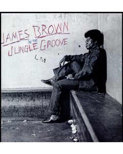 BROWN,JAMES - IN THE JUNGLE GROOVE 