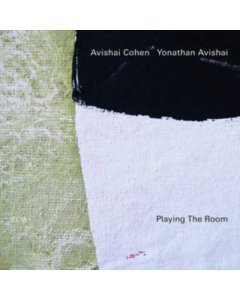 COHEN,AVISHAI; YONATHAN AVISHAI - PLAYING THE ROOM