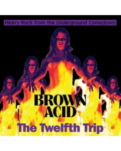 VARIOUS ARTISTS - BROWN ACID: THE TWELFTH TRIP