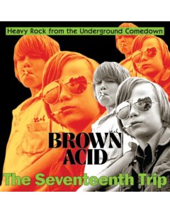 VARIOUS ARTISTS - BROWN ACID - THE SEVENTEENTH TRIP