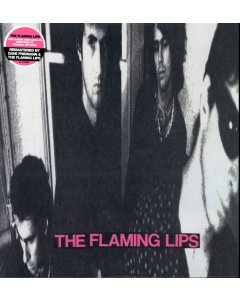 FLAMING LIPS - IN A PRIEST DRIVEN AMBULANCE