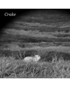 CRAKE - ENOUGH SALT (FOR ALL DOGS) B/W GEF (DL CARD)