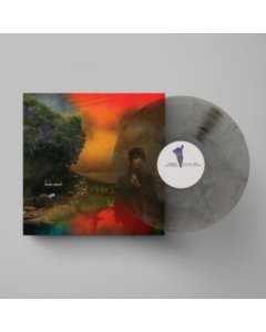 VAN ETTEN,SHARON - WE'VE BEEN GOING ABOUT THIS ALL WRONG (MARBLED SMOKE VINYL)