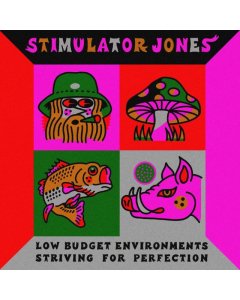 STIMULATOR JONES - LOW BUDGET ENVIRONMENTS STRIVING FOR PERFECTION