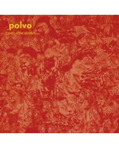 POLVO - TODAY'S ACTIVE LIFESTYLES