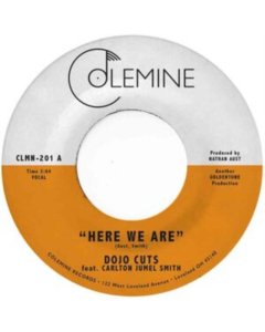 DOJO CUTS - HERE WE ARE (CLEAR VINYL)