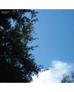 CLOUD NOTHINGS - TURNING ON (WESTLAKE WATER VINYL/DL CARD)