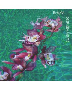 BRHYM - DEEP SEA VENTS