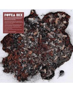 FOVEA HEX - SALT GARDEN (LP/CD/IMPORT)