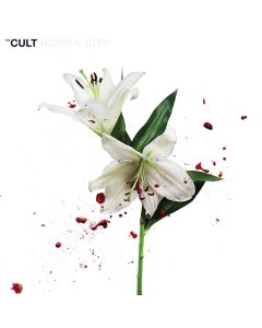 CULT - HIDDEN CITY