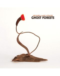 BAIRD,MEG & MARY LATTIMORE - GHOST FORESTS (GREEN VINYL/DL CARD)