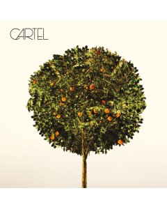 CARTEL - CARTEL