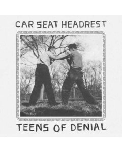 CAR SEAT HEADREST - TEENS OF DENIAL