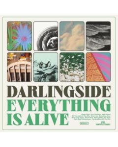 DARLINGSIDE - EVERYTHING IS ALIVE