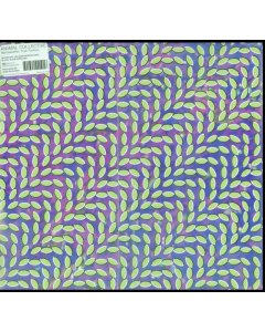 ANIMAL COLLECTIVE - MERRIWEATHER POST PAVILION