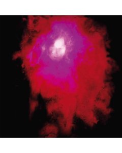 PORCUPINE TREE - UP THE DOWNSTAIR (2LP/140G/GATEFOLD SLEEVE)