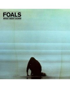 FOALS - WHAT WENT DOWN