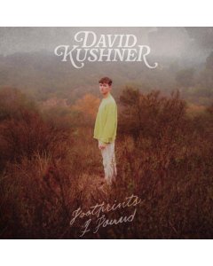 KUSHNER,DAVID - FOOTPRINTS I FOUND (SILVER METALLIC/BROWN-YELLOW SPLATTER VINYL)