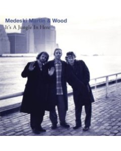 MEDESKI,MARTIN & WOOD - IT'S A JUNGLE IN HERE