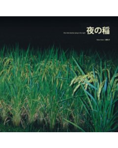 KUDO,REIKO - RICE FIELD SILENTLY RIPING IN THE NIGHT