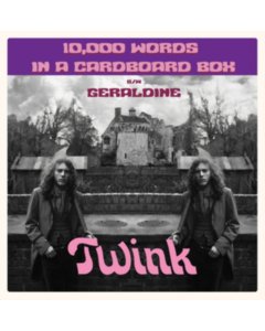 TWINK - 10,000 WORDS IN A CARDBOARD BOX