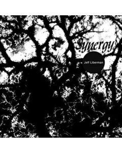 LIBERMAN,JEFFERY - SYNERGY