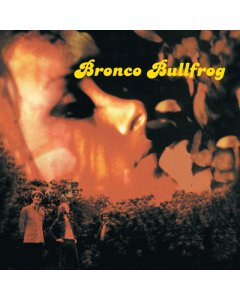 BRONCO BULLFROG - BRONCO BULLFROG (2LP)