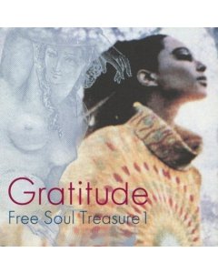 VARIOUS ARTISTS - GRATITUDE: SUBURBIA MEETS ULTRA-VYBE FREE SOUL TREASURE 1