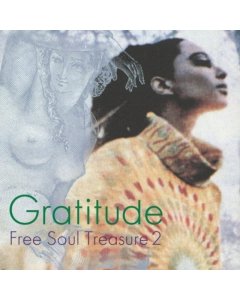 VARIOUS ARTISTS - GRATITUDE: SUBURBIA MEETS ULTRA-VYBE FREE SOUL TREASURE 2