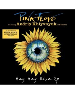 PINK FLOYD FEAT. ANDRIY KHLYVNYUK OF BOOMBOX - HEY HEY RISE UP