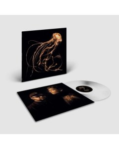 ROYAL BLOOD - BACK TO THE WATER BELOW (CLEAR VINYL) (I)