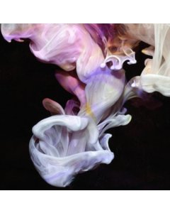 SIMIAN MOBILE DISCO - MURMURATIONS (GATEFOLD/DL CODE)