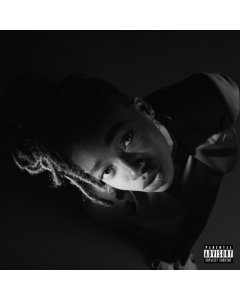 LITTLE SIMZ - GREY AREA (WHITE VINYL)