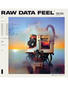 EVERYTHING EVERYTHING - RAW DATA FEEL (CLEAR VINYL)