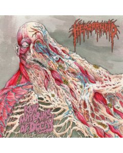 HEMORRHOID - RAW MATERIALS OF DECAY