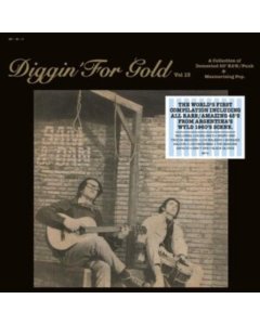 VARIOUS ARTISTS - DIGGIN' FOR GOLD VOL. 13