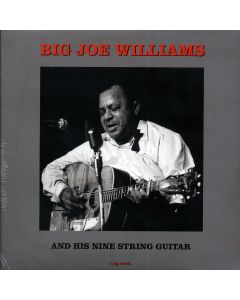 Big Joe Williams And His Nine String Guitar