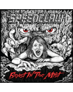 BEAST IN THE MIST - BEAST IN THE MIST